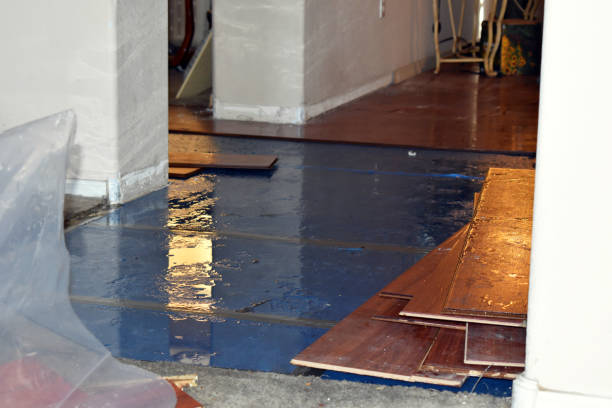 Professional Basement Flood Cleanup technician working in Kurtistown, HI